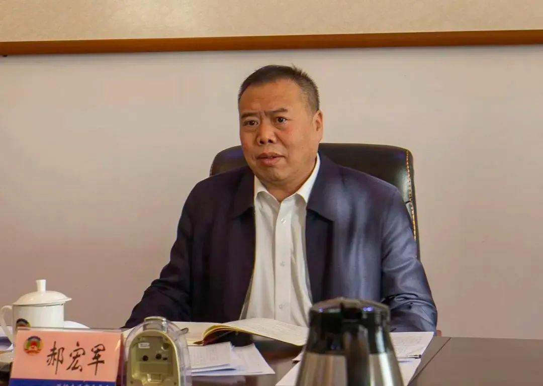 郝宏军,被逮捕