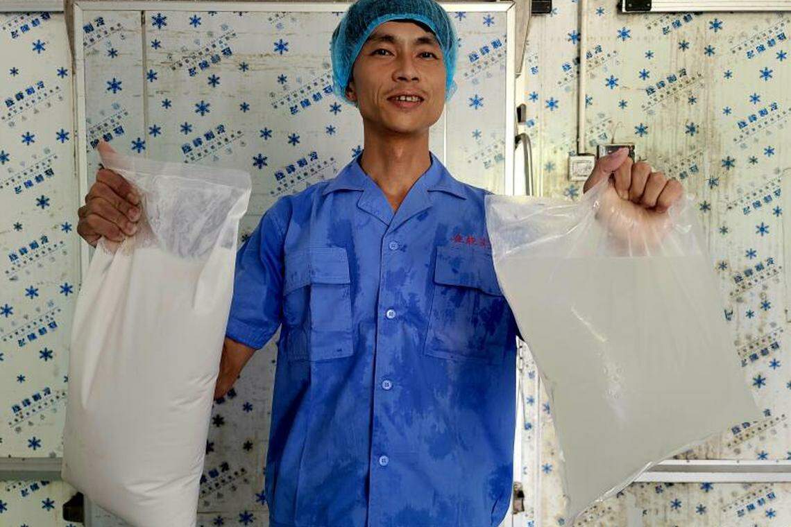 中国椰子水需求近年来持续扩大,使过去属于工业边角料的毛椰水成为“香饽饽”,带动毛椰进口需求增加。毛椰是去掉外果皮的老椰。中国市面供加工的毛椰主要进口自东南亚国家。(中新社)
