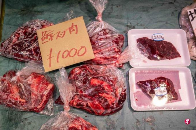 张竞:日本扩大捕鲸展现政治意志