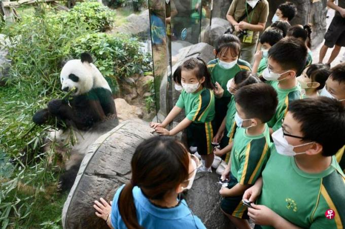 北京出台新规:非中国籍港澳永久居民可申请回乡证