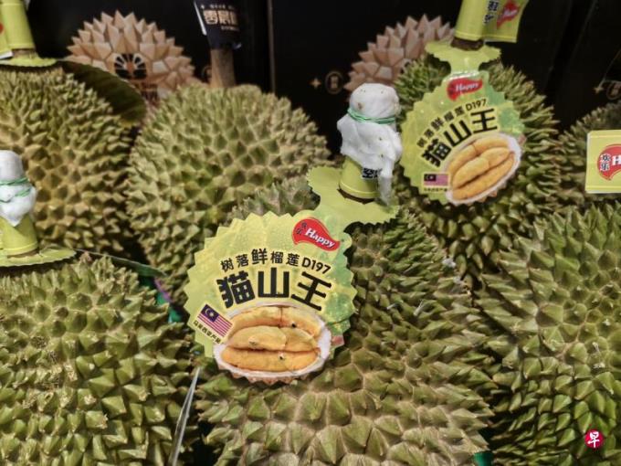 国际特稿:挑战泰国霸主地位 马国越南榴梿落地 抢鲜包吃中国市场