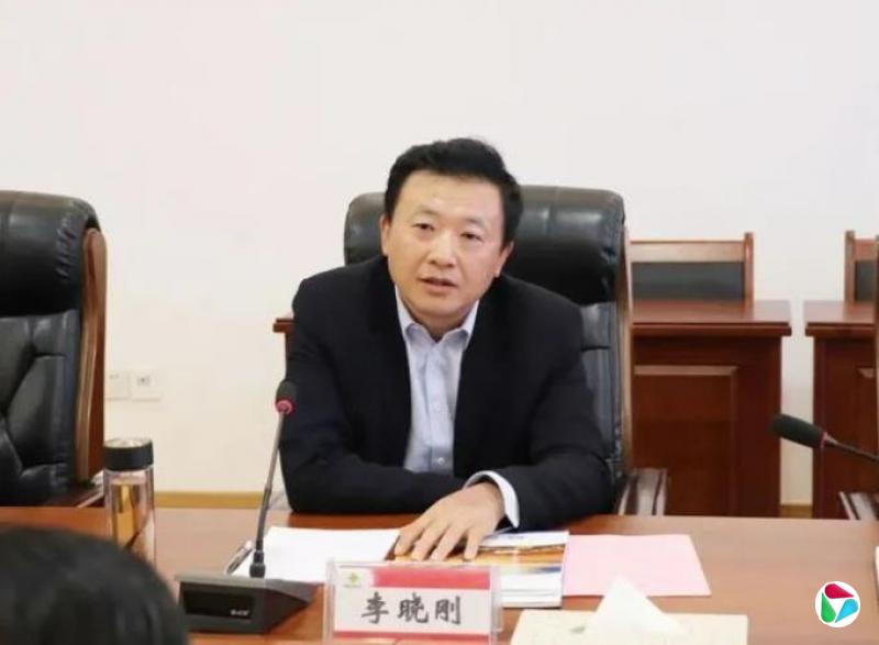 李晓刚,被查