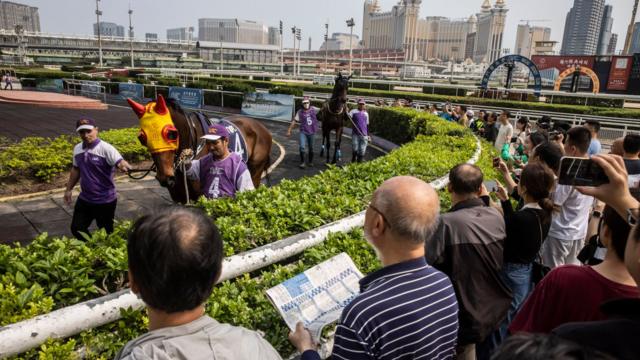 氹仔澳门赛马会内马迷在沙圈端详出赛马匹(17/3/2024)