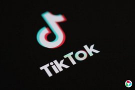 TikTokŷûݼĴй ŷ˿8Ԫ