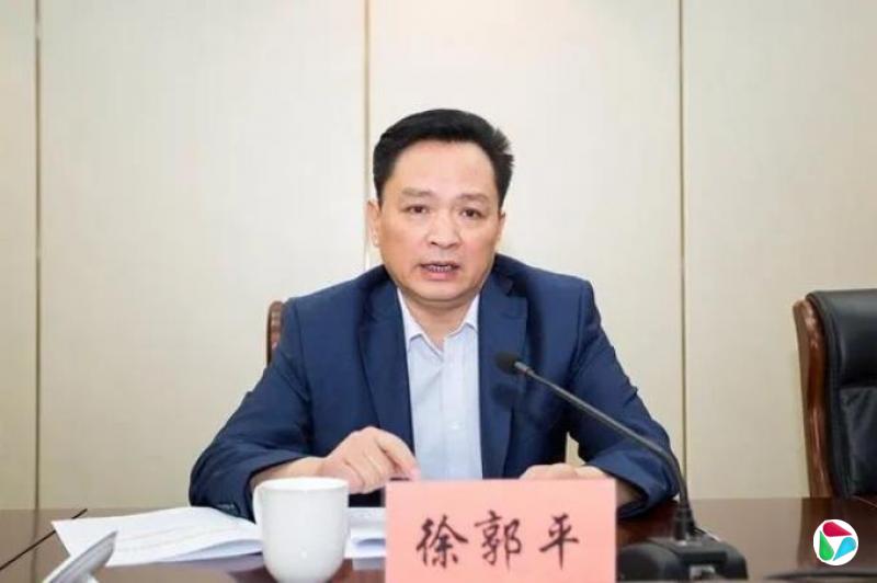 徐郭平,被查