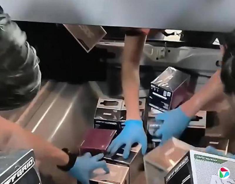 �����᣺����ɥʬ�����̡���������������
