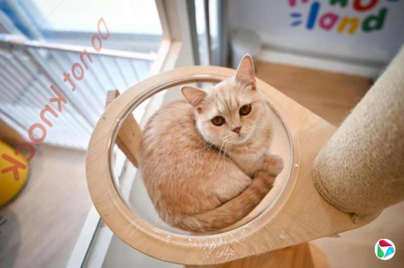 �ձ��ߣ������롰�ˡ��ľ���
