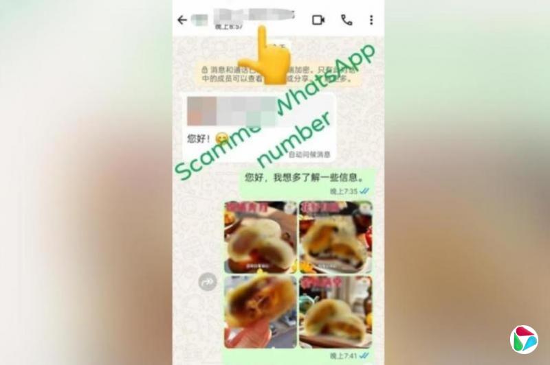 ����Ů�������±� ����������ʧ