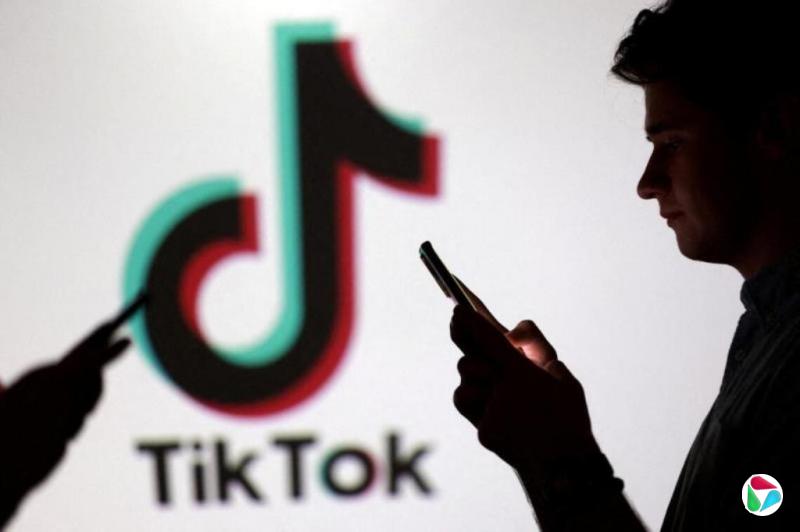 �׹���TikTok����ҵ���»���ϯ������ռ�� �㷨����������
