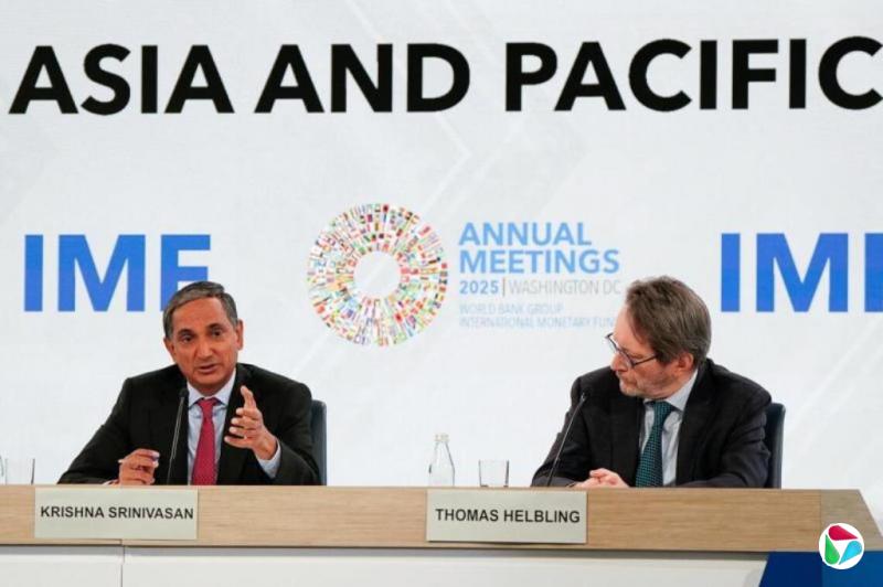 IMF�ϵ���������Ԥ�� ��ʾ������ϵ����