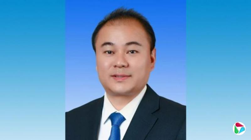���Ϻ����г��콡���º�����ί���