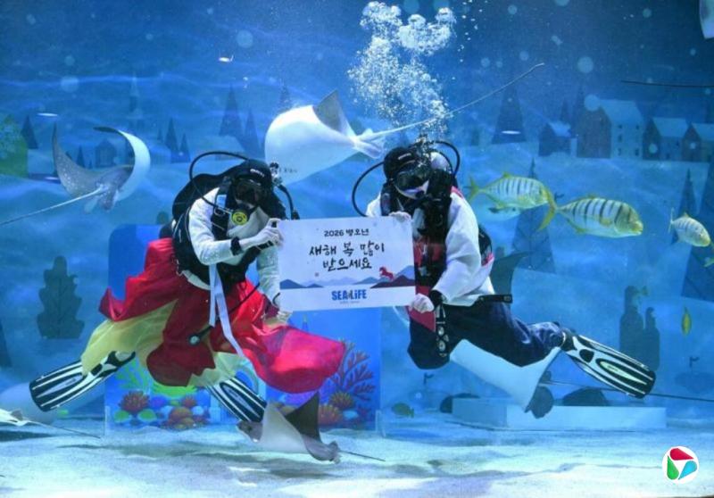 ���飺ѹ��Ǯ�ɺ��������˴��ڸ�������֧��