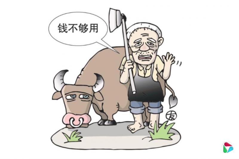 �����˼䣺ũ������Ͻ�����й����ό��