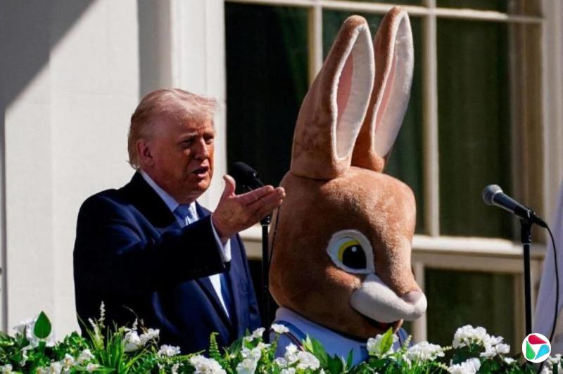 �����գ����������з����������� ǿ����������