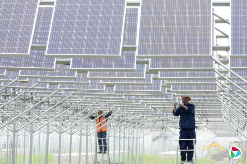 补贴退场后 中国4月光伏出口保持韧性