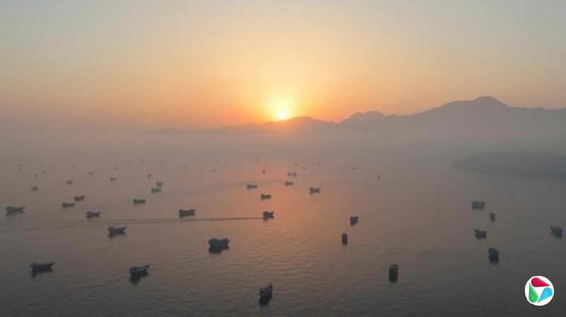 当太阳升起时,许多船只在海湾抛锚停泊。