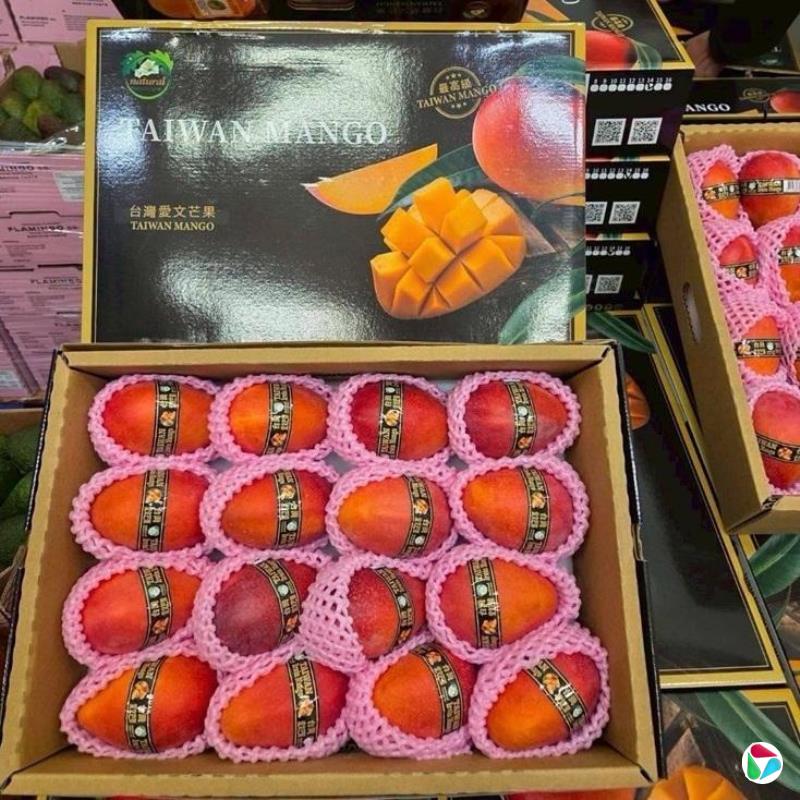 ��Ӣ�ģ���������������ϵ ��̨��ˮ����������