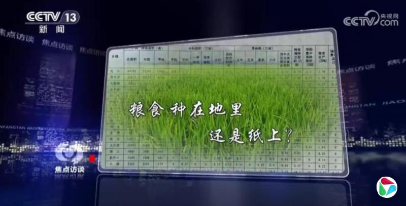 下午察:《焦点访谈》揭种粮造假引发的争论